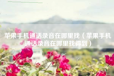 苹果手机通话录音在哪里找（苹果手机通话录音在哪里找得到）