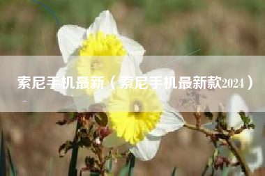 索尼手机最新（索尼手机最新款2024）