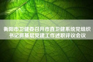 衡阳市卫健委召开市直卫健系统党组织书记抓基层党建工作述职评议会议