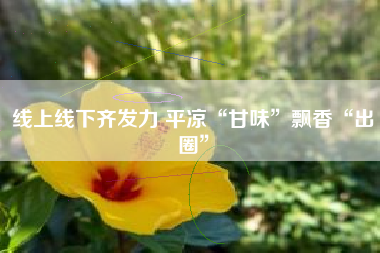 线上线下齐发力 平凉“甘味”飘香“出圈”