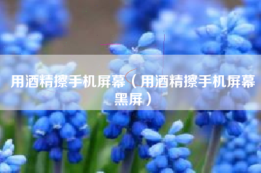 用酒精擦手机屏幕（用酒精擦手机屏幕黑屏）