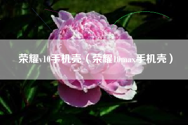 荣耀v10手机壳（荣耀10max手机壳）