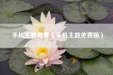手机主题免费（手机主题免费版）