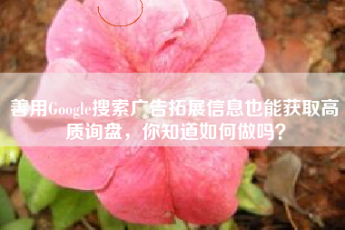 善用Google搜索广告拓展信息也能获取高质询盘，你知道如何做吗？