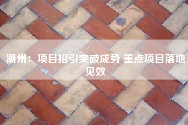 潮州：项目招引突破成势 重点项目落地见效