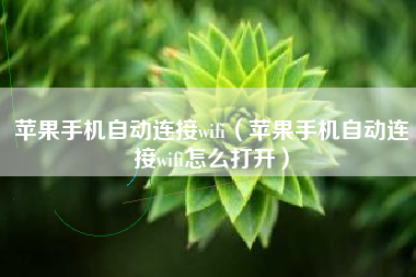 苹果手机自动连接wifi（苹果手机自动连接wifi怎么打开）