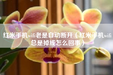 红米手机wifi老是自动断开（红米手机wifi总是掉线怎么回事）