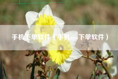 手机下单软件（手机app下单软件）