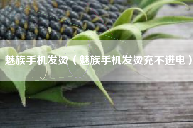 魅族手机发烫（魅族手机发烫充不进电）
