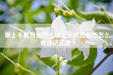 掌上手机营业厅（掌上手机营业厅怎么查通话记录）