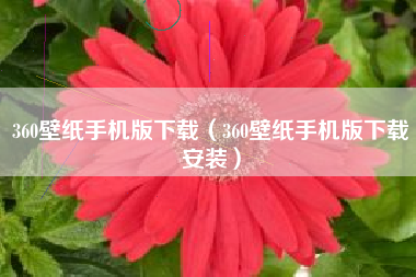360壁纸手机版下载（360壁纸手机版下载安装）