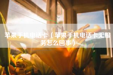 苹果手机电话卡（苹果手机电话卡无服务怎么回事）