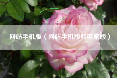 网站手机版（网站手机版和电脑版）