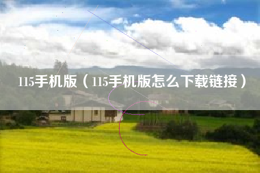 115手机版（115手机版怎么下载链接）