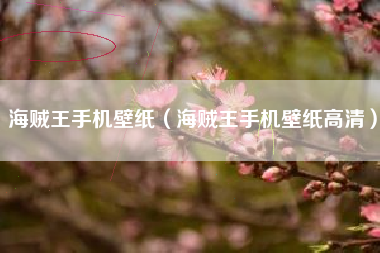 海贼王手机壁纸（海贼王手机壁纸高清）
