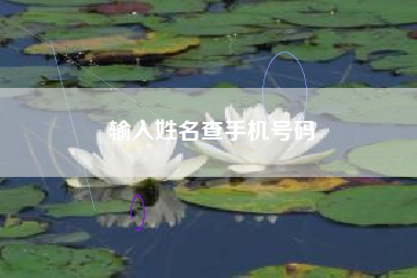 输入姓名查手机号码
