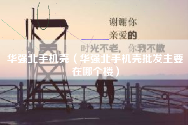 华强北手机壳（华强北手机壳批发主要在哪个楼）