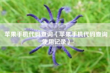 苹果手机代码查询（苹果手机代码查询使用记录）