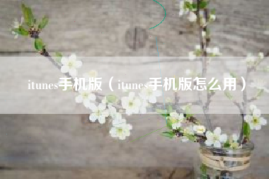 itunes手机版（itunes手机版怎么用）