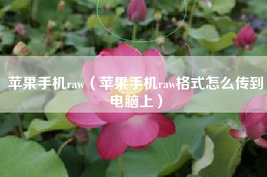 苹果手机raw（苹果手机raw格式怎么传到电脑上）