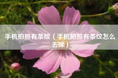 手机拍照有条纹（手机拍照有条纹怎么去除）