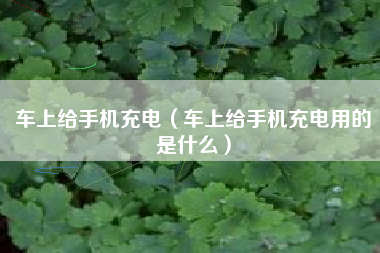 车上给手机充电（车上给手机充电用的是什么）