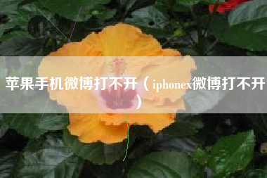 苹果手机微博打不开（iphonex微博打不开）