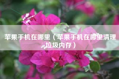 苹果手机在哪里（苹果手机在哪里清理垃圾内存）