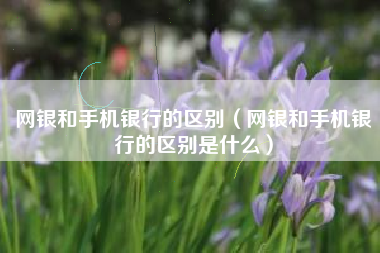 网银和手机银行的区别（网银和手机银行的区别是什么）