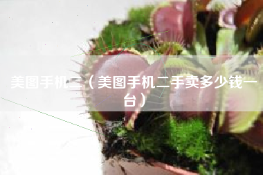 美图手机二（美图手机二手卖多少钱一台）