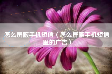 怎么屏蔽手机短信（怎么屏蔽手机短信里的广告）