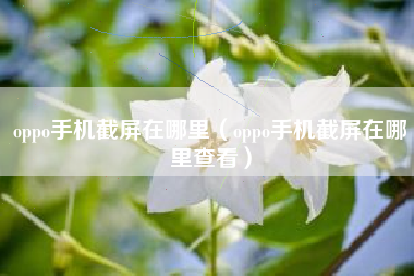 oppo手机截屏在哪里（oppo手机截屏在哪里查看）
