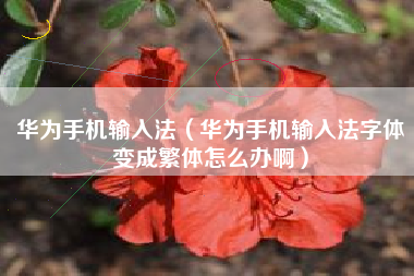 华为手机输入法（华为手机输入法字体变成繁体怎么办啊）