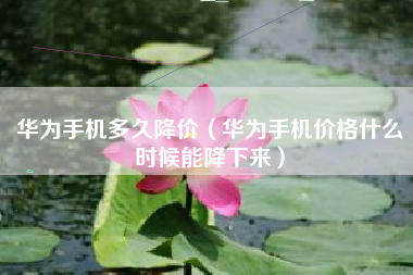 华为手机多久降价（华为手机价格什么时候能降下来）