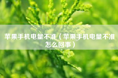 苹果手机电量不准（苹果手机电量不准怎么回事）
