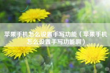 苹果手机怎么设置手写功能（苹果手机怎么设置手写功能啊）