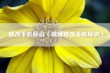 修改手机标识（微博修改手机标识）