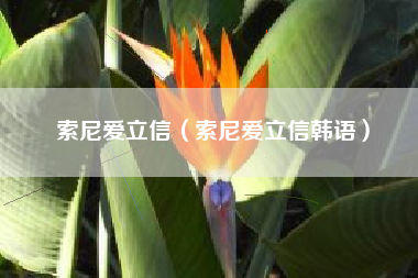 索尼爱立信（索尼爱立信韩语）