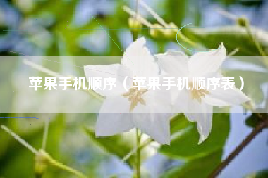 苹果手机顺序（苹果手机顺序表）