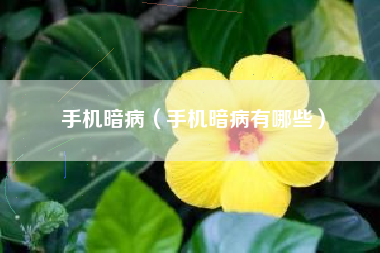 手机暗病（手机暗病有哪些）