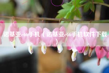 诺基亚e66手机（诺基亚e66手机软件下载）