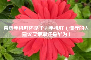 荣耀手机好还是华为手机好（懂行的人建议买荣耀还是华为）