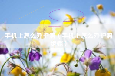 手机上怎么办护照（手机上怎么办护照步骤）
