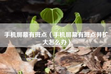 手机屏幕有斑点（手机屏幕有斑点并扩大怎么办）