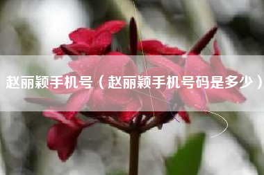 赵丽颖手机号（赵丽颖手机号码是多少）