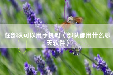 在部队可以用手机吗（部队都用什么聊天软件）