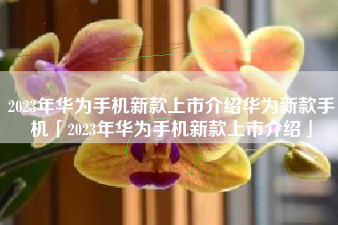 2023年华为手机新款上市介绍华为新款手机「2023年华为手机新款上市介绍」
