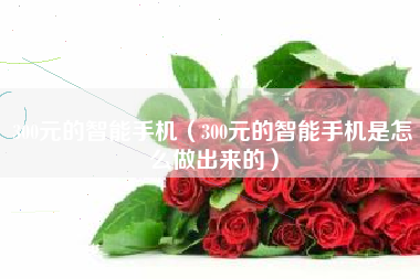 300元的智能手机（300元的智能手机是怎么做出来的）