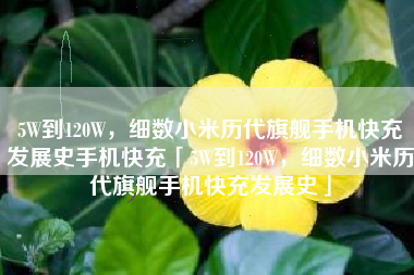 5W到120W，细数小米历代旗舰手机快充发展史手机快充「5W到120W，细数小米历代旗舰手机快充发展史」