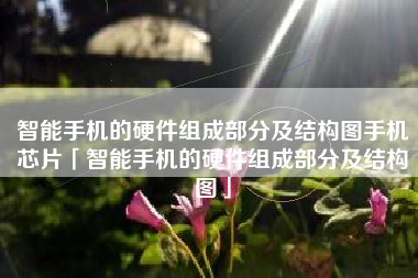 智能手机的硬件组成部分及结构图手机芯片「智能手机的硬件组成部分及结构图」